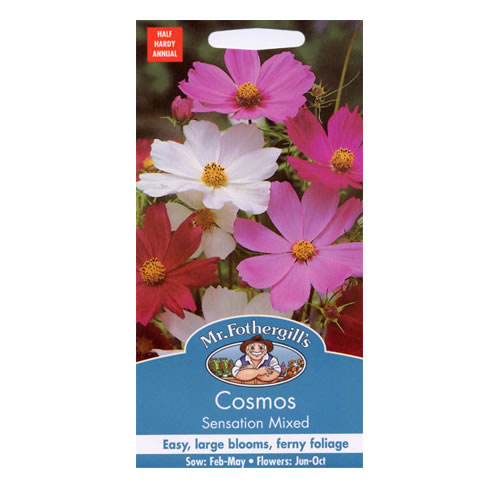 Semi Di Cosmos Bipinnatus 'Dwarf Sensation' - 50 Semi Nani Per Balcone, Fioritura Estiva Prolungata
